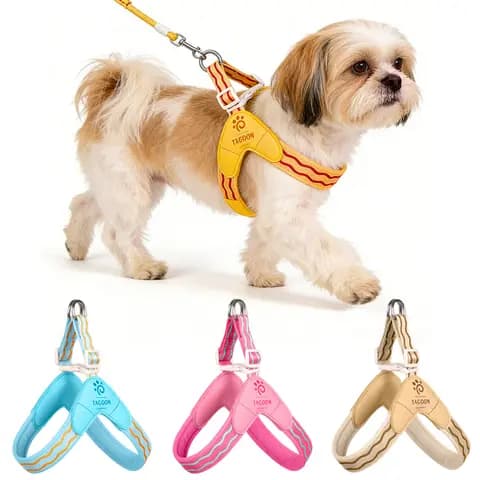 Breathable Mesh Pet Harness, Cat and Small Dog Walking Set